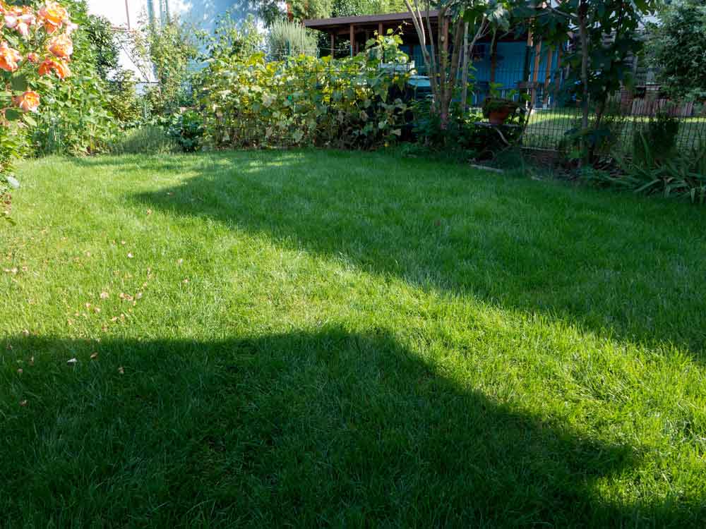 Baunebenkosten für Rasen und Carport