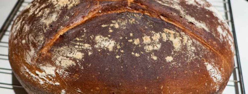 Friss Dich dumm-Brot