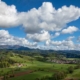 Kaiserstuhl Urlaub für Wanderer und Genießer