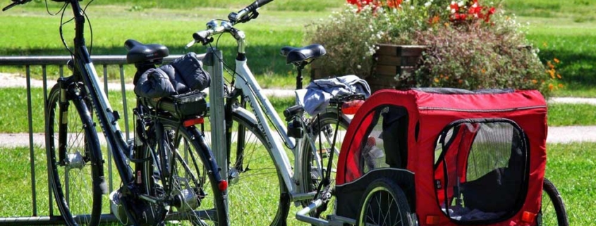 Fahrradanhänger kaufen - Ratgeber