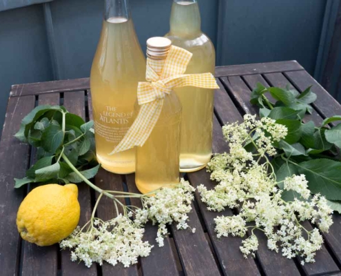 Holunderblütensirup selbst machen