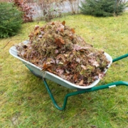 Im Oktober Garten winterfest machen