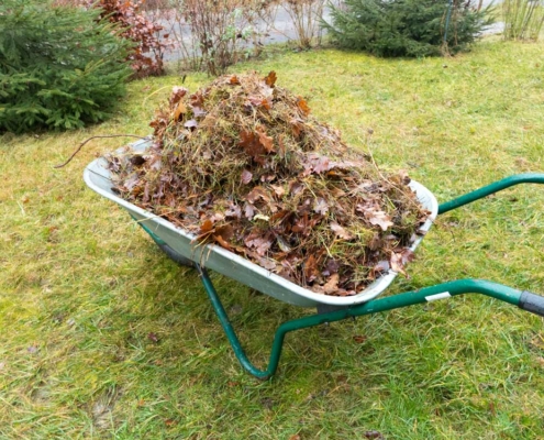 Im Oktober Garten winterfest machen