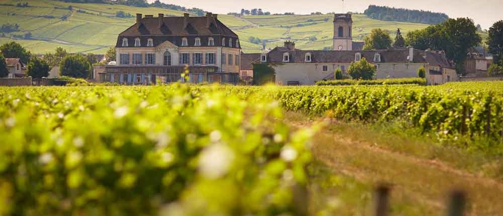 Cave de Bailly: Cremant-Spezialist Nord-Bourgogne