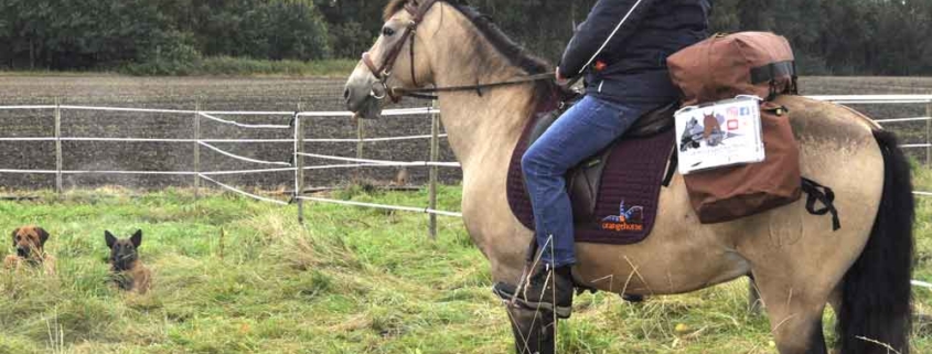 18.000 Kilometer nach China reiten