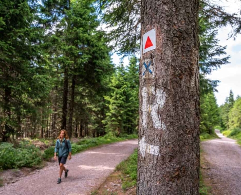 Wanderwege Thüringen
