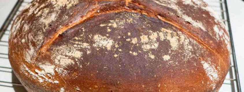 Brot backen - selbst Brotbacken