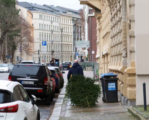 Weihnachtsbaum entsorgen