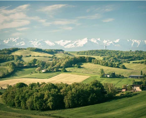 Gascogne