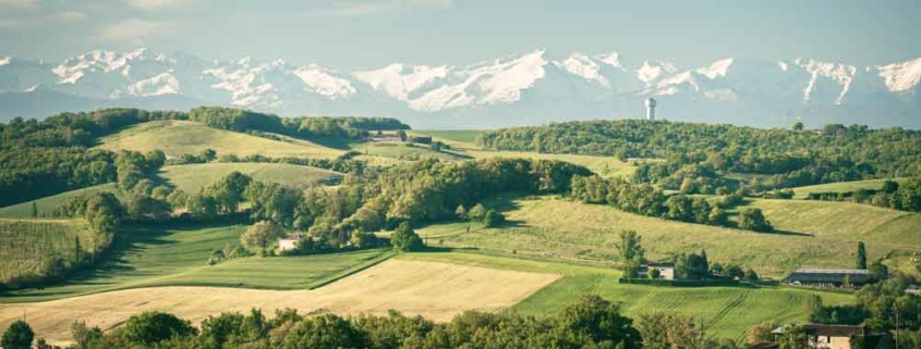 Gascogne