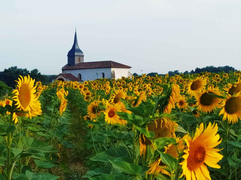 Wandern Gascogne