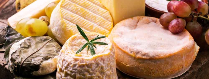 Käse und Wein Ratgeber