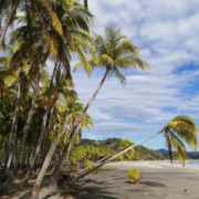 Costa Rica auswandern