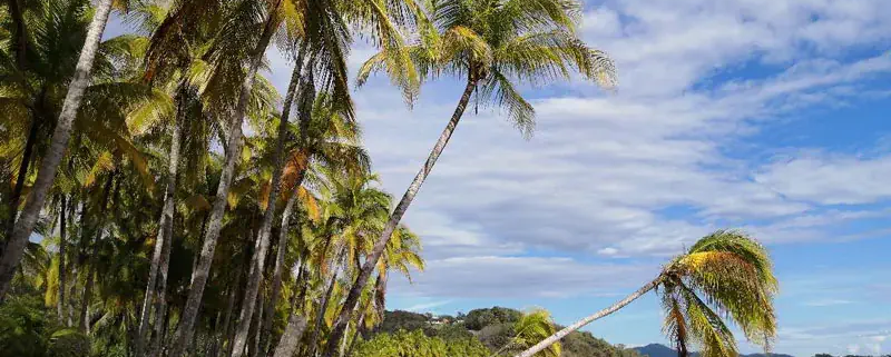 Costa Rica auswandern