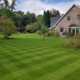 Englischer Rasen anlegen