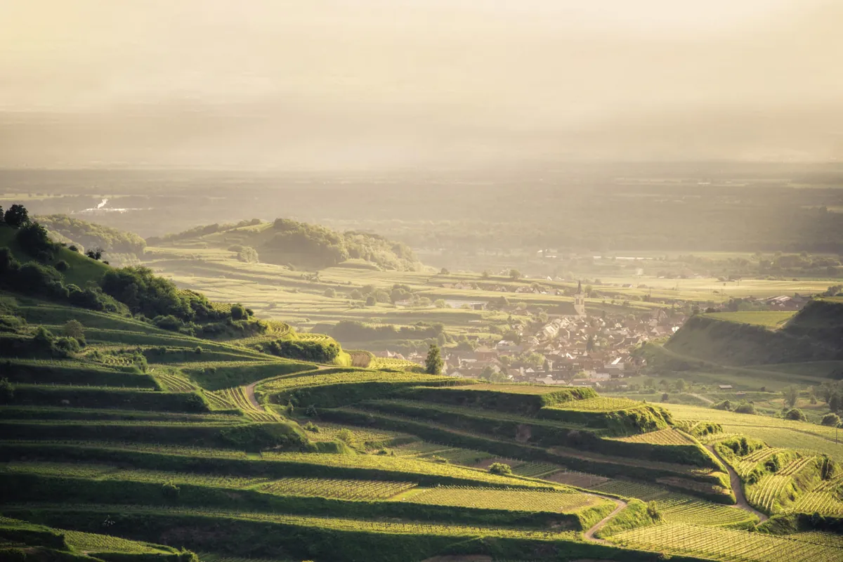 Weinberge und Landschaft am Kaiserstuhl in Baden-Württemberg